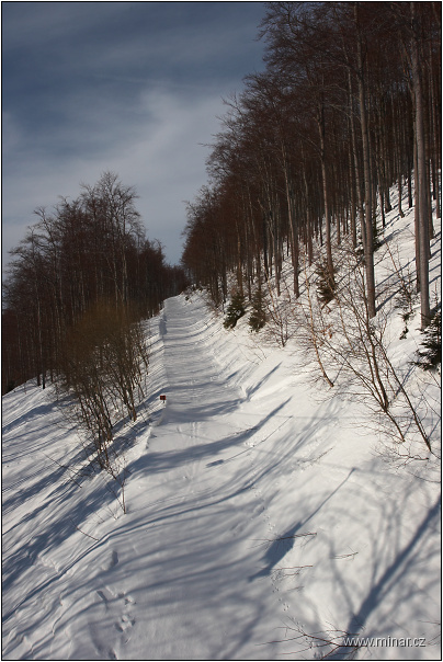img00040.jpg