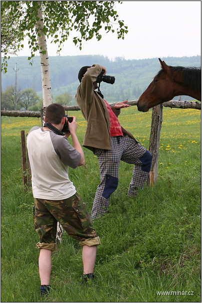 img00007.jpg