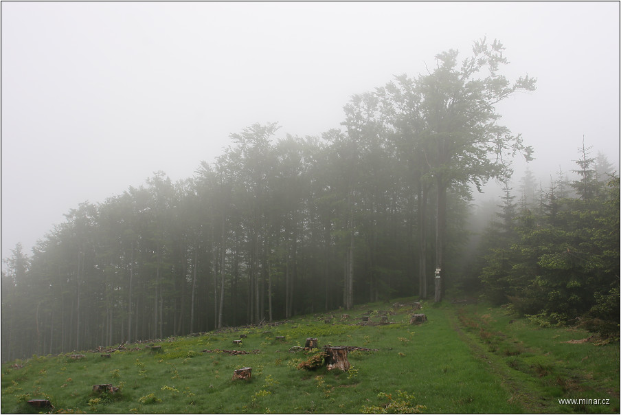 img00002.jpg
