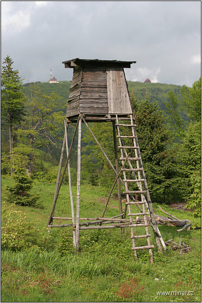 img00003.jpg