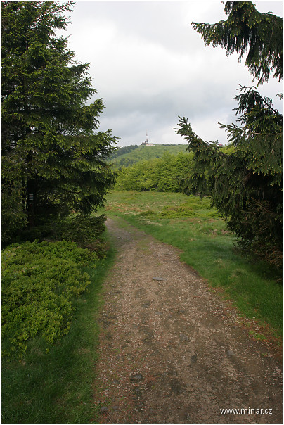 img00004.jpg
