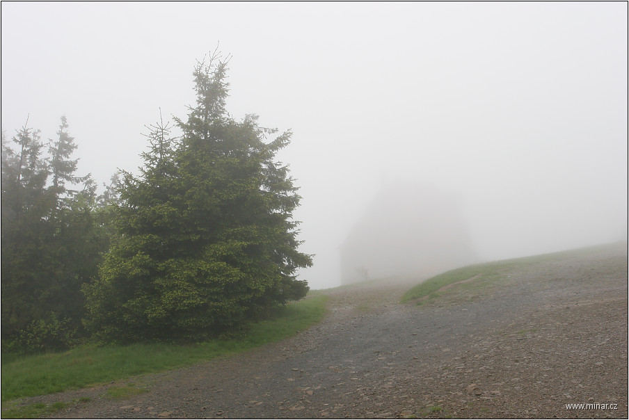 img00011.jpg