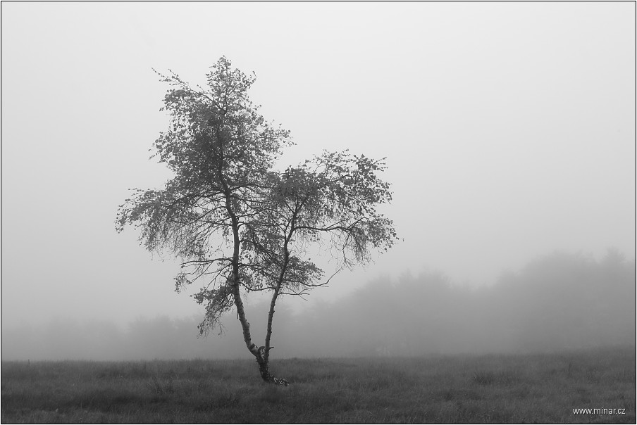 img00013.jpg