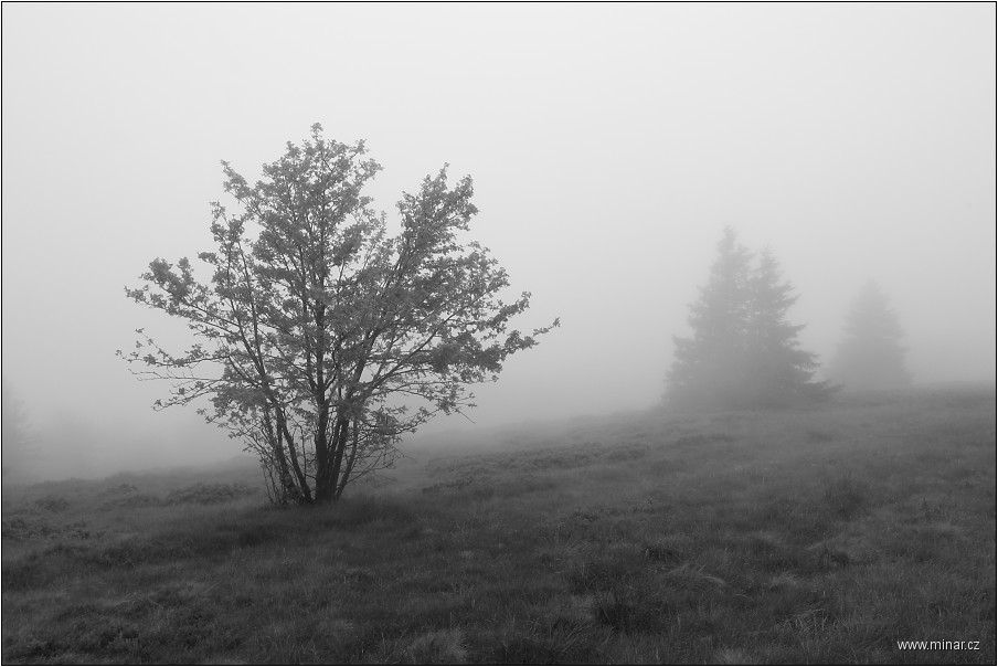 img00014.jpg