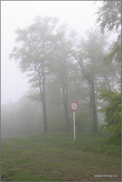 img00019.jpg