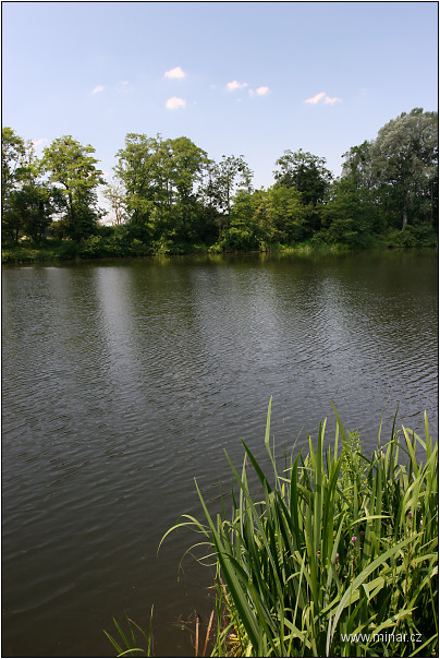 img00003.jpg