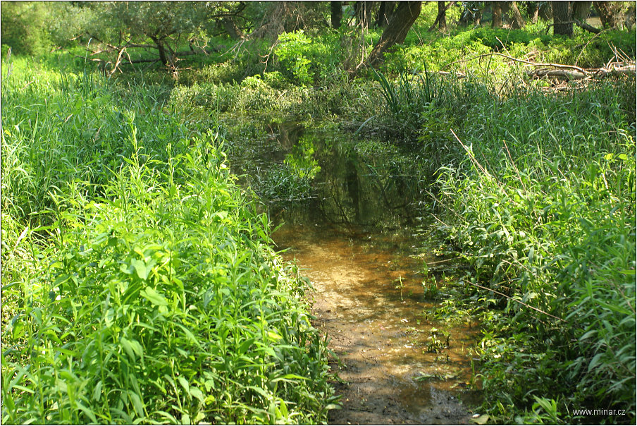 img00021.jpg