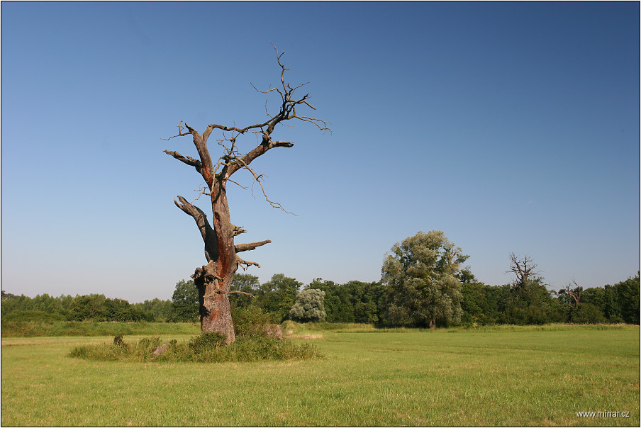 img00035.jpg