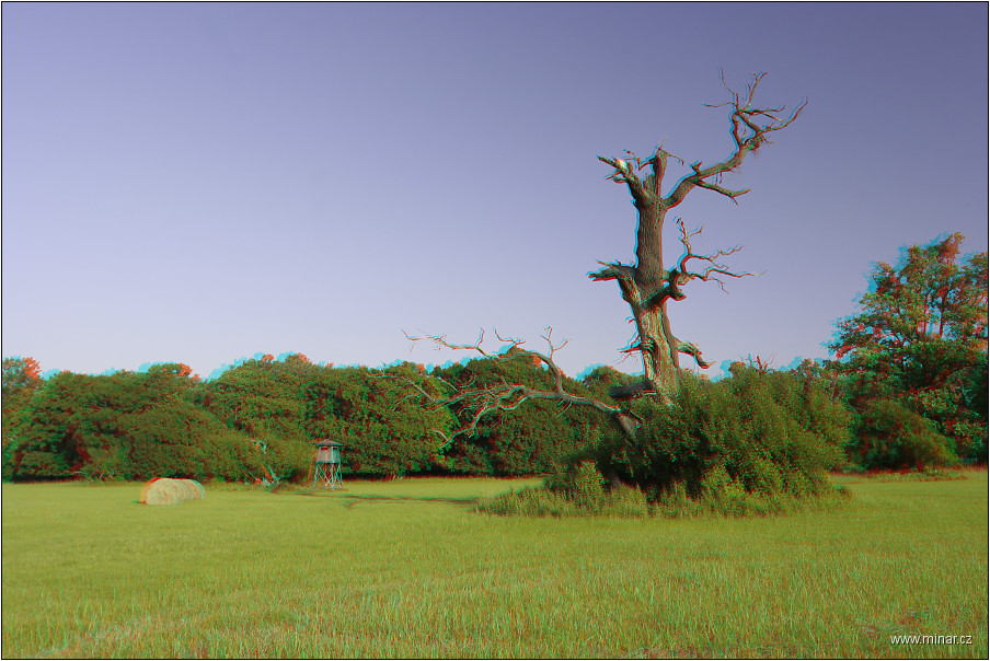 img00046.jpg