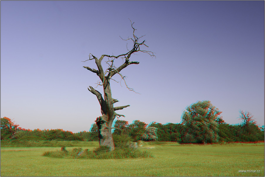 img00048.jpg