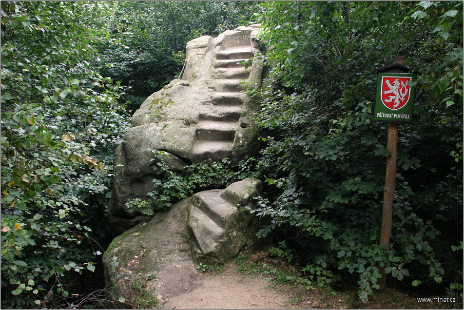 img00016.jpg