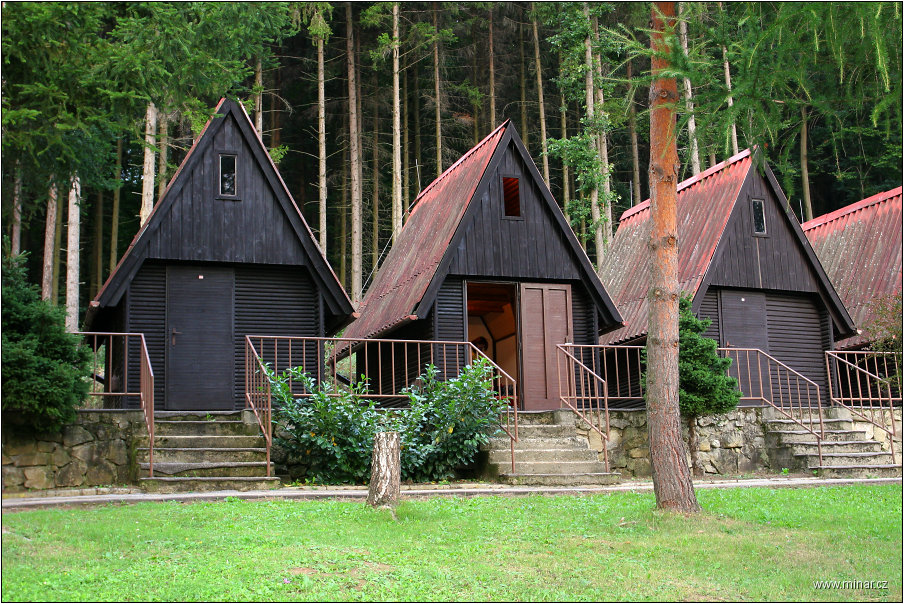 img00019.jpg