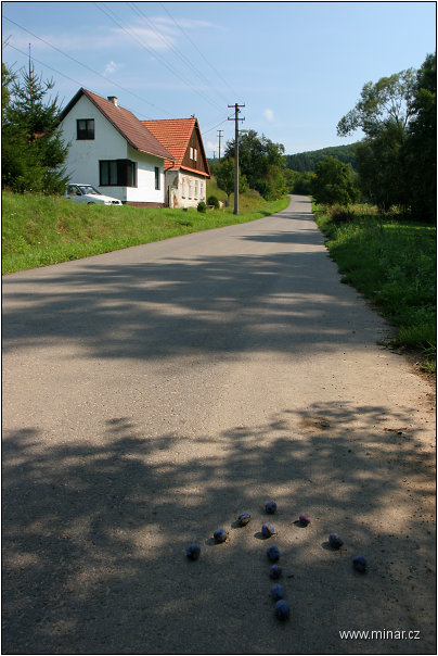 img00025.jpg