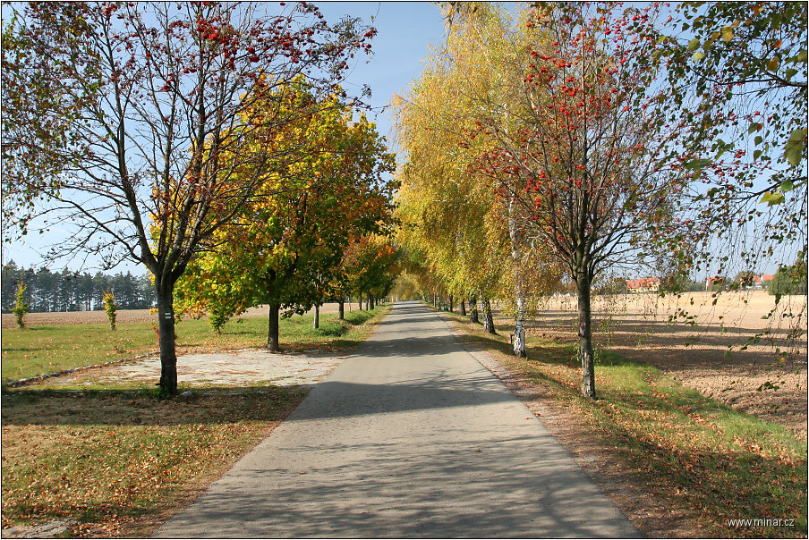 img00006.jpg