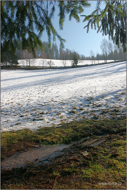 img00010.jpg