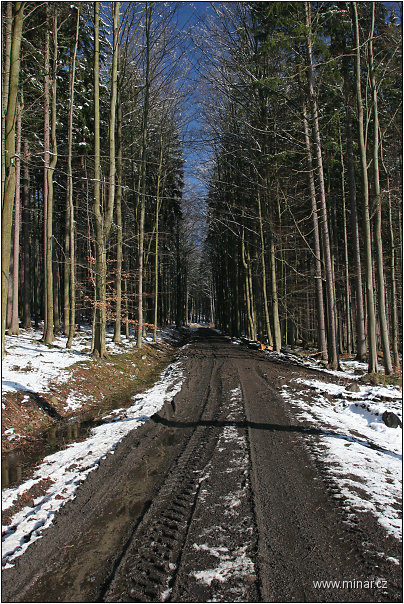 img00014.jpg