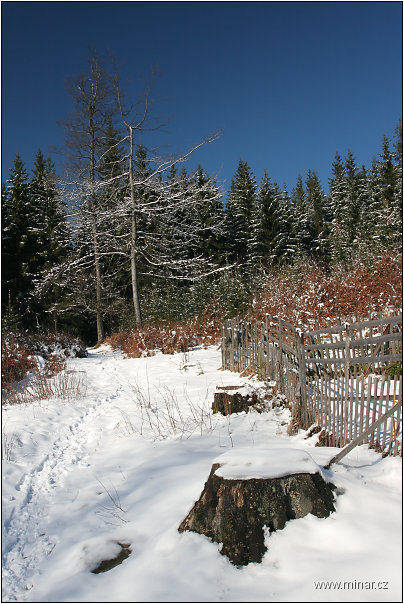 img00015.jpg