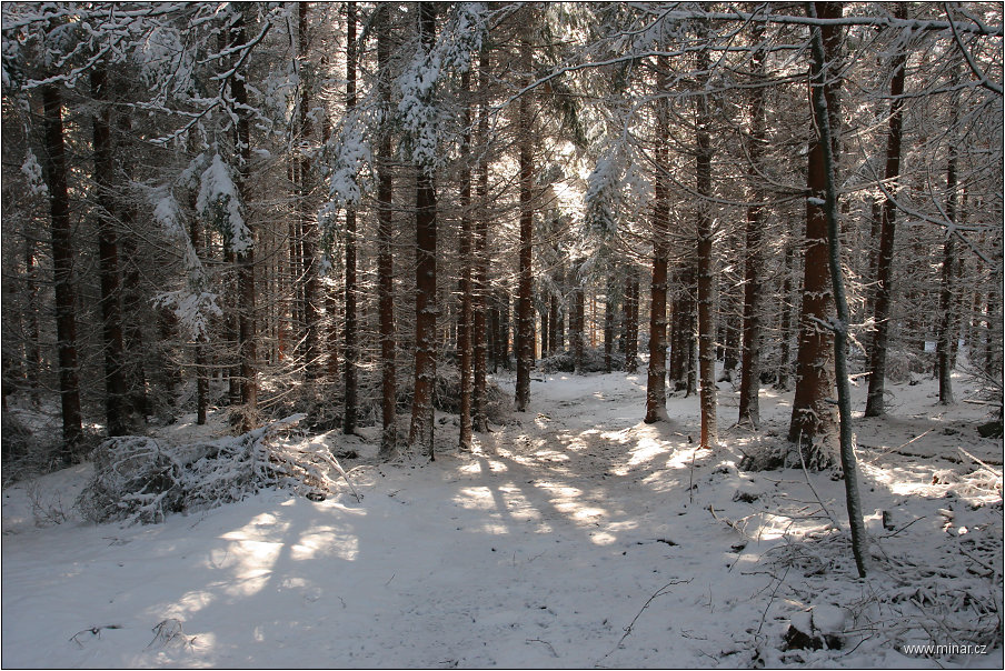 img00016.jpg