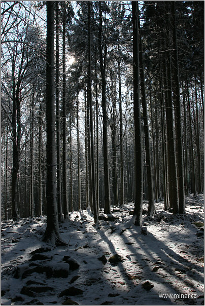 img00017.jpg
