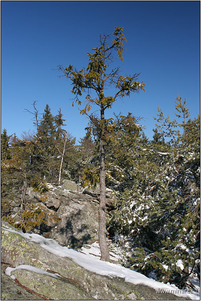 img00019.jpg