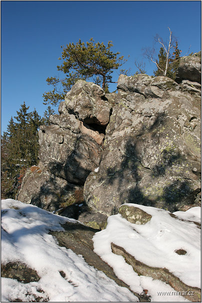 img00020.jpg