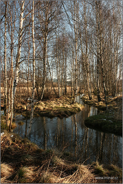 img00027.jpg