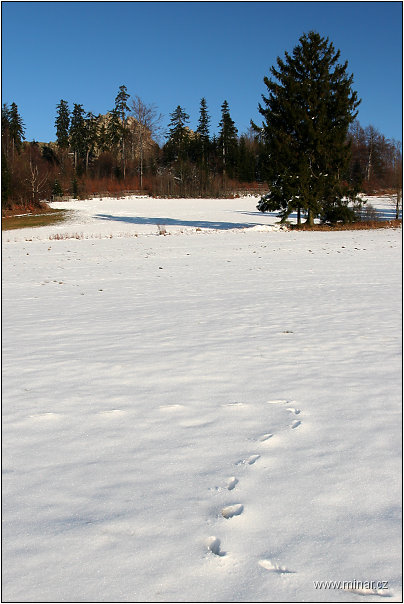 img00029.jpg