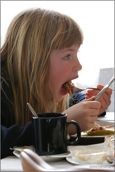 img00042.jpg