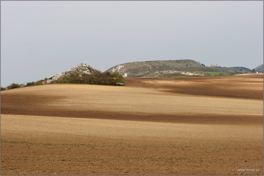 img00006.jpg