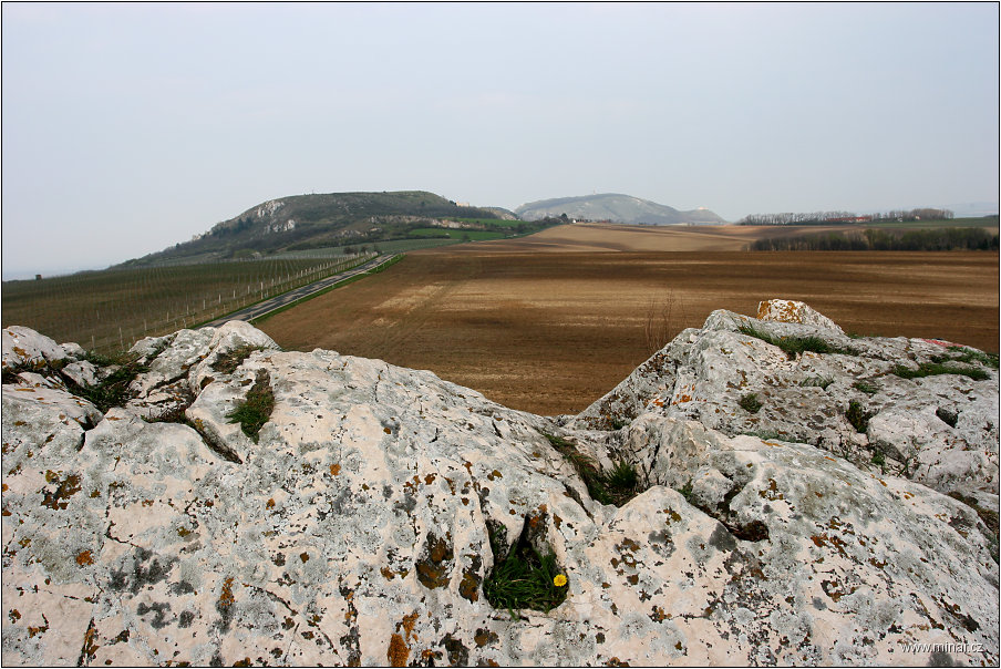 img00008.jpg