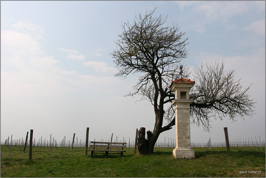 img00009.jpg