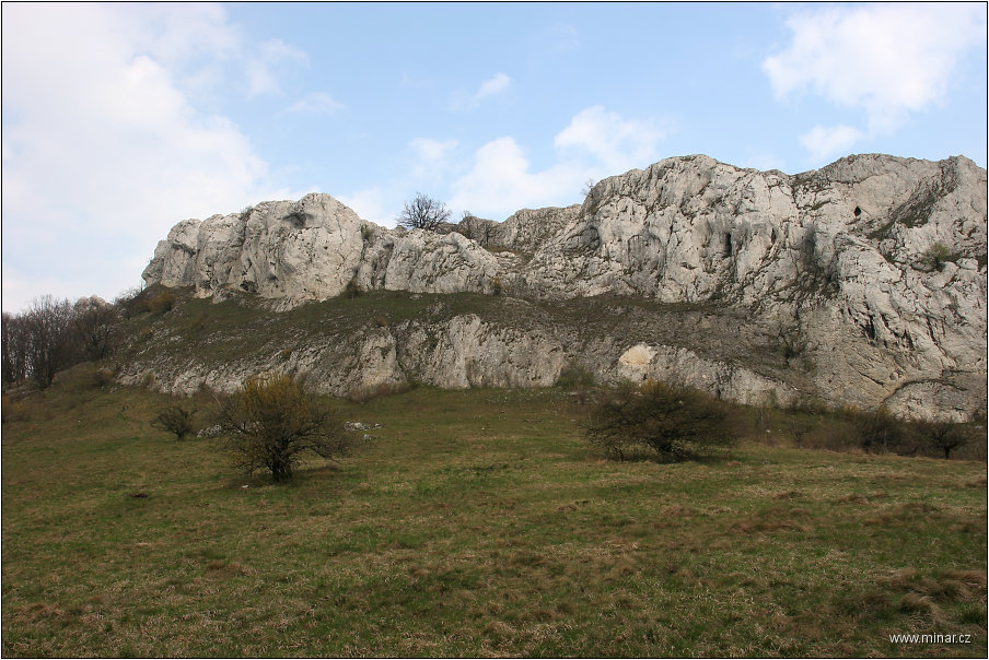 img00010.jpg