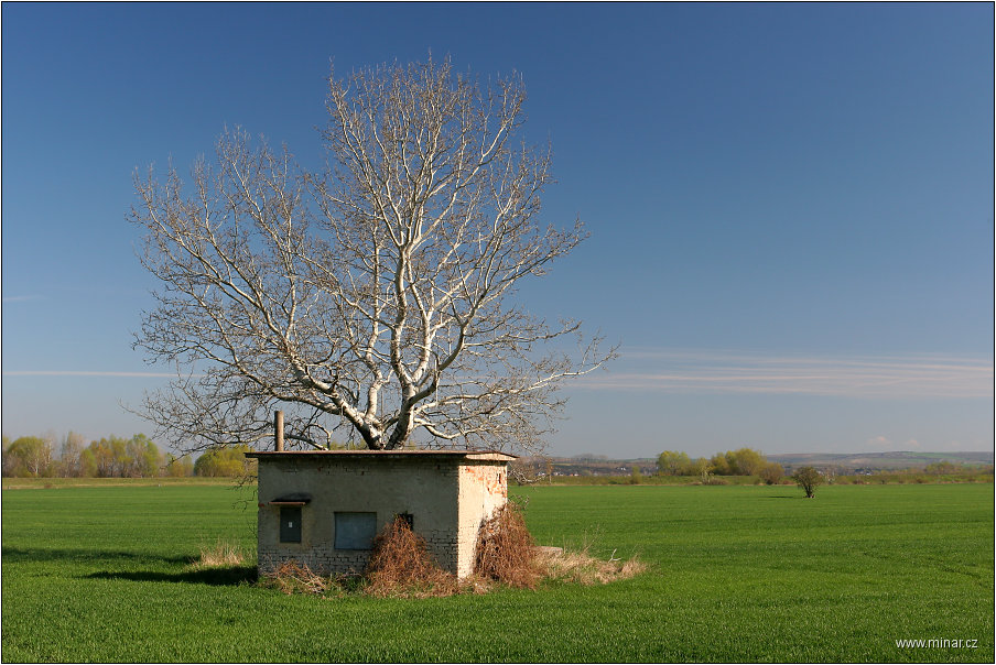 img00012.jpg