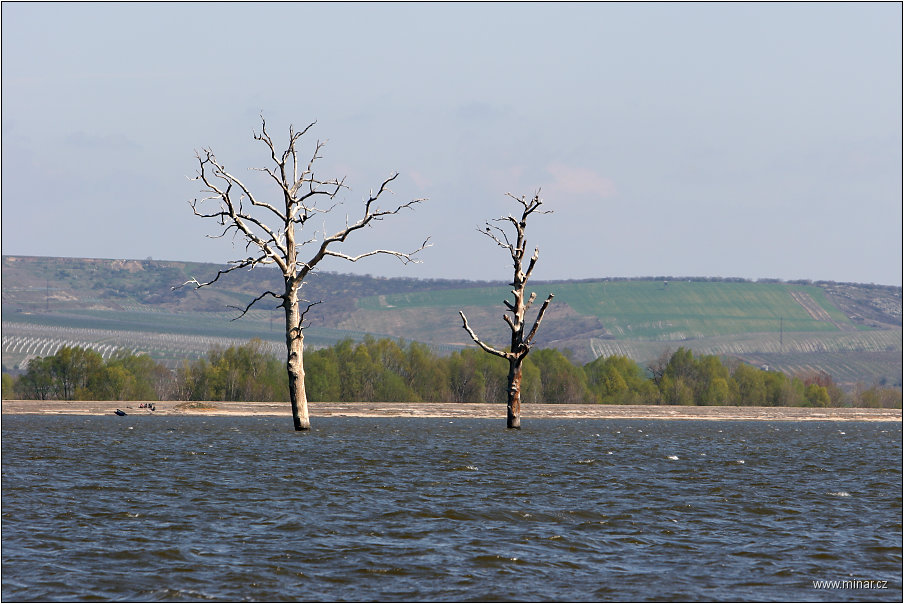 img00014.jpg