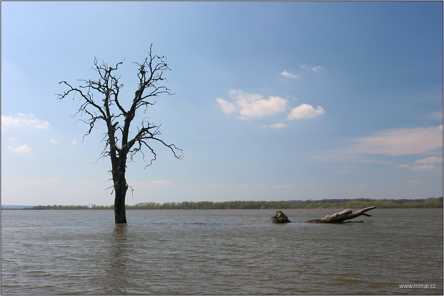 img00018.jpg