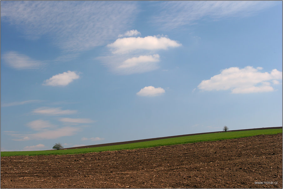 img00019.jpg