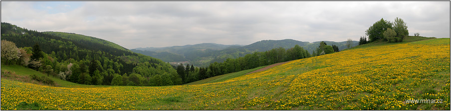 img00004.jpg