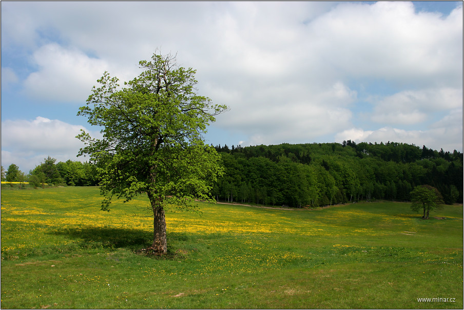 img00007.jpg