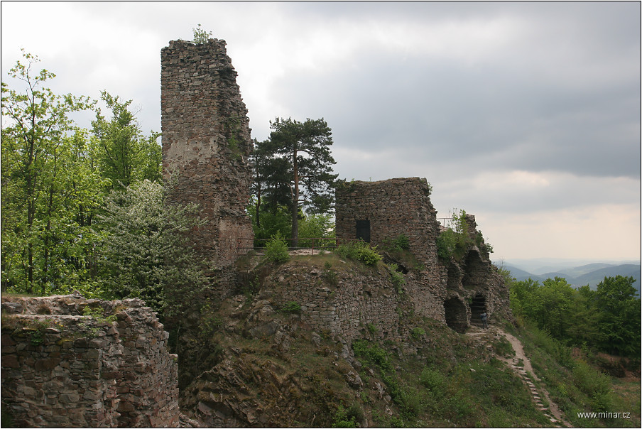 img00010.jpg