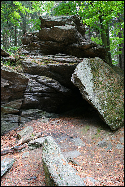 img00006.jpg