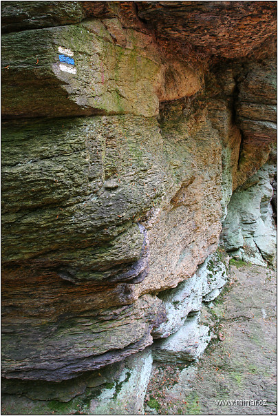 img00007.jpg