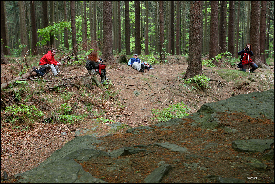 img00008.jpg