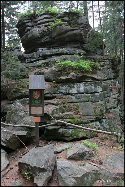 img00012.jpg
