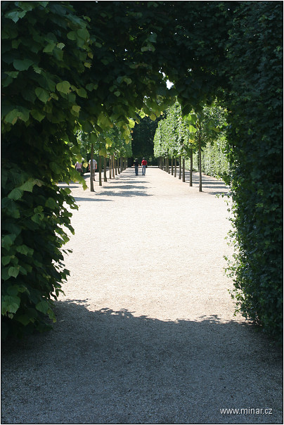 img00073.jpg