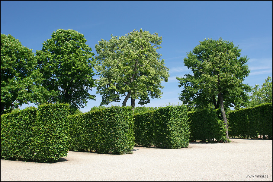img00075.jpg