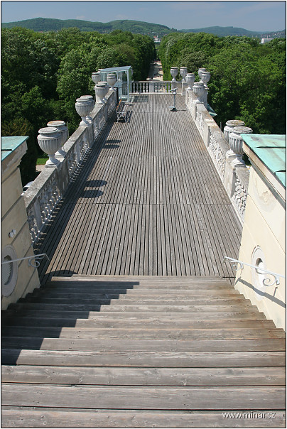 img00083.jpg