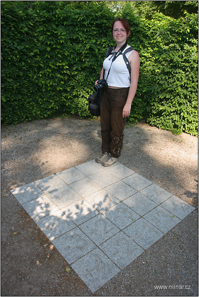 img00100.jpg