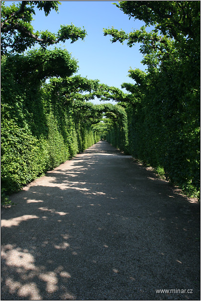 img00104.jpg