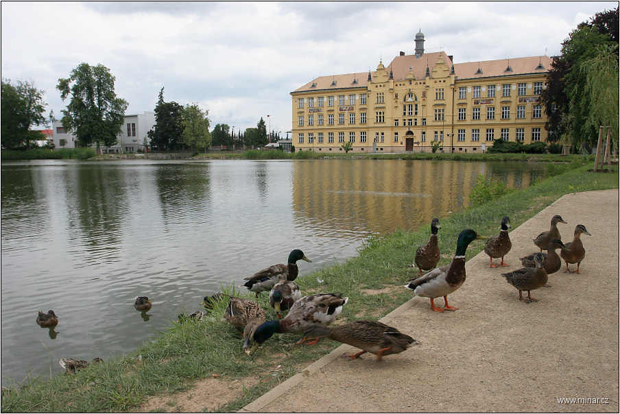 img00002.jpg