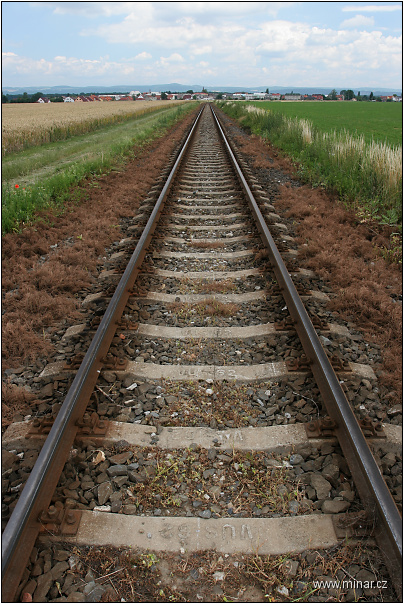 img00007.jpg